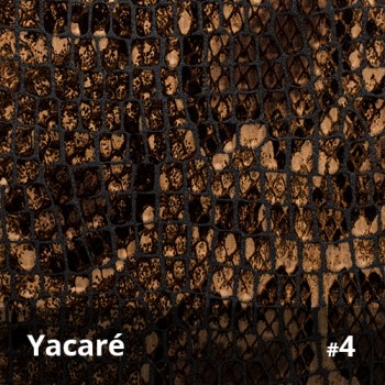 Yacaré 4